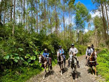 Colombia-Coffee Zone-Mountains and Waterfalls in Central Andes